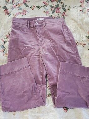 LOFT Mauve Velvet Straight Pants Size 29